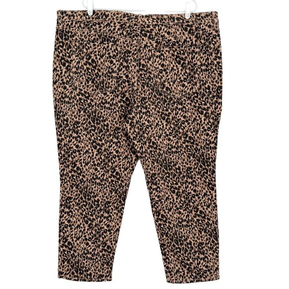 Terra & Sky Womens Core Straight Stretch Brown Leopard Denim Jeans Plus 24WP NWT - Picture 2 of 10